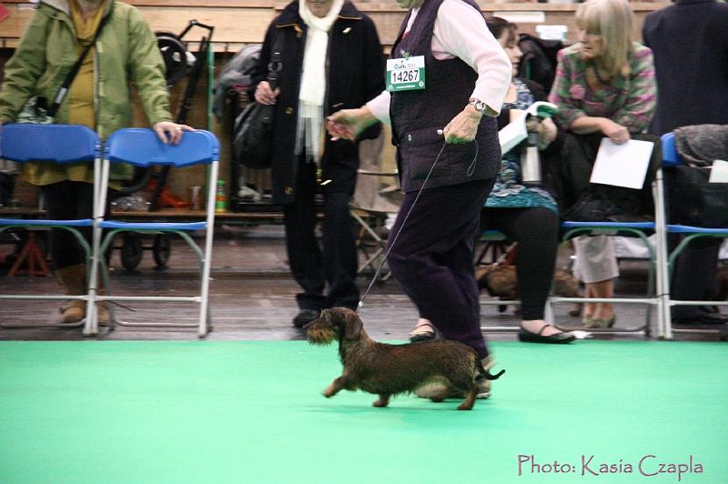 Crufts2011_2 1460.jpg